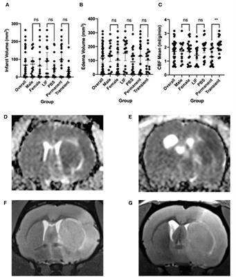 Gut microbial dysbiosis correlates with stroke severity markers in aged rats